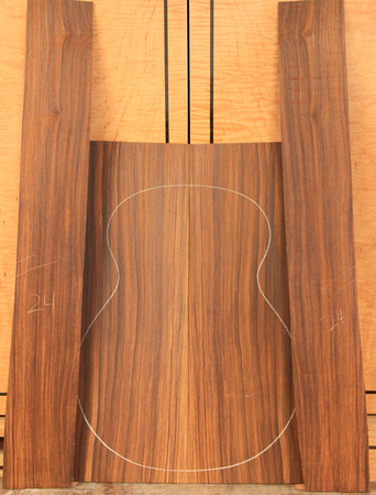 The Cocobolo back and sides