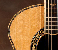Paul Simon's Guitar